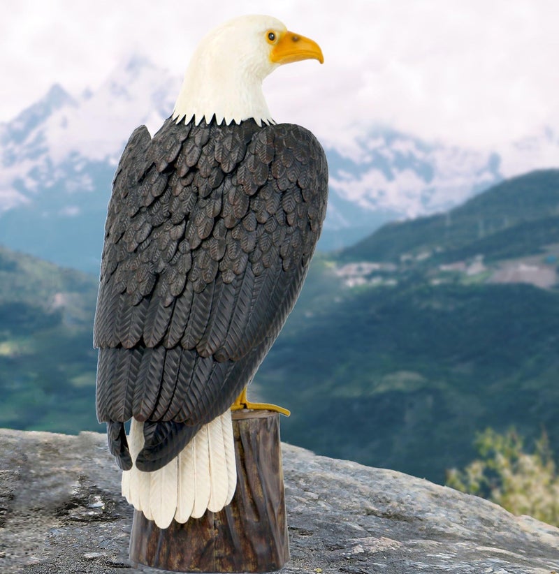 chisheen Bald Eagle Outdoor Metal Yard Art Statue and Sculpture for Garden Lawn Patio Living Room Decoration - Image 5